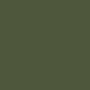S202 Moss Green Interior Film - Solid Color Collection