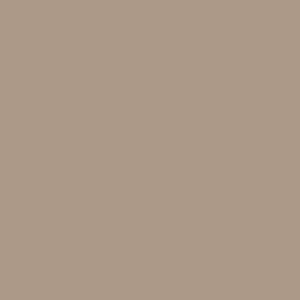 S246 Coffee Latte - Solid Color Collection