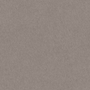 TNS03 Gray Leather Interior Film - Leather Collection